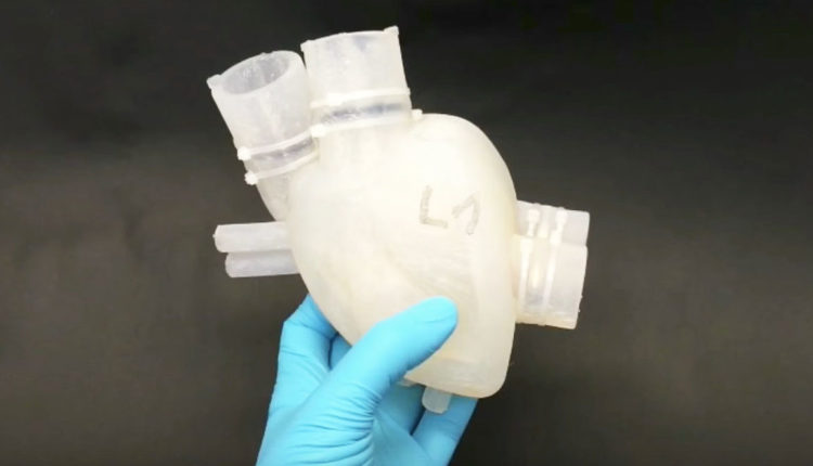 3D-printed silicone heart beats like the real thing- Testing a soft artificial heart