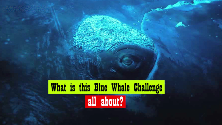 Blue Whale Challenge:  All You Need To Know!!