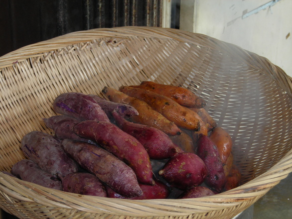 steaming-sweet-potatoes-1572028 (1)