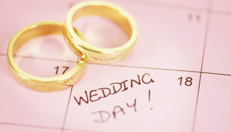 The Wedding Plan
